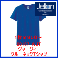 00167-WJT　ジャージィークルーネックTシャツ　ジェラン